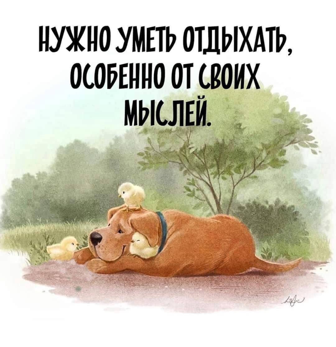 Вот как нужно набираться сил у природы гуляя лесом нагишом
